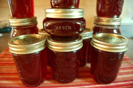 Muscadine and Scuppernong Grape Jelly