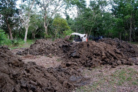 Dirt and Bobcat