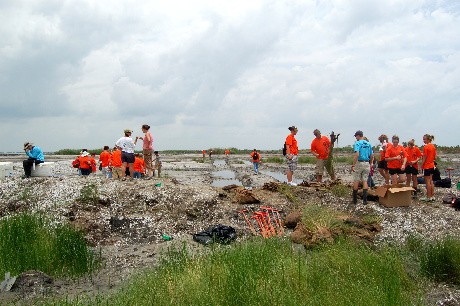 planting