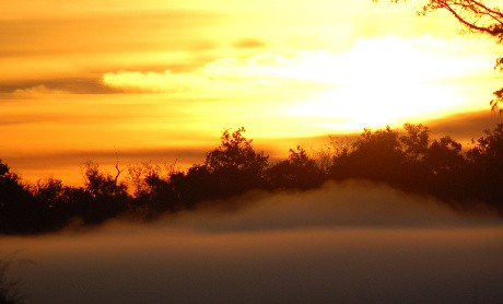 foggy-sunrise-006