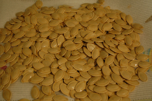 Pumpkin Seeds