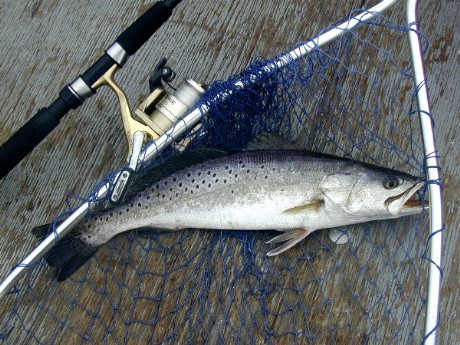 Speckled Trout Fishing in the Winter – BAYOU WOMAN