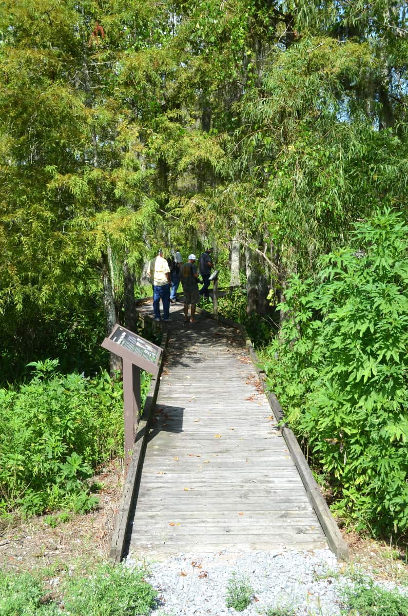 Garden City Unit Boardwalk – BAYOU WOMAN