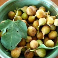 figs-bowl