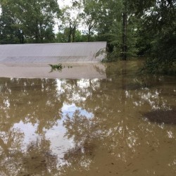 flooded-barn